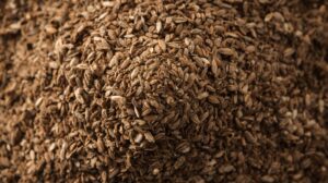 Cotton Seed DOC – De-Oiled Cake