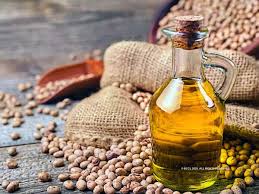 Soyabean Oil Extraction