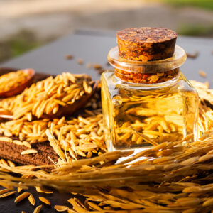 Rice Bran Oil Extraction